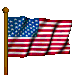 Waving US Flag